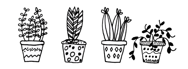 Этюд комнатного растения