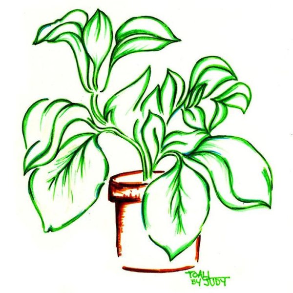 Комнатные растения трафареты