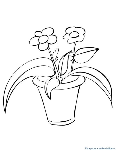 Кактус раскраска для детей