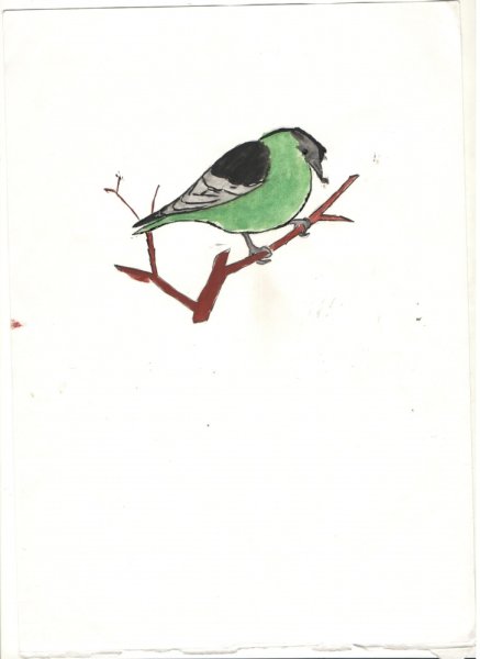 Чижик рисунок