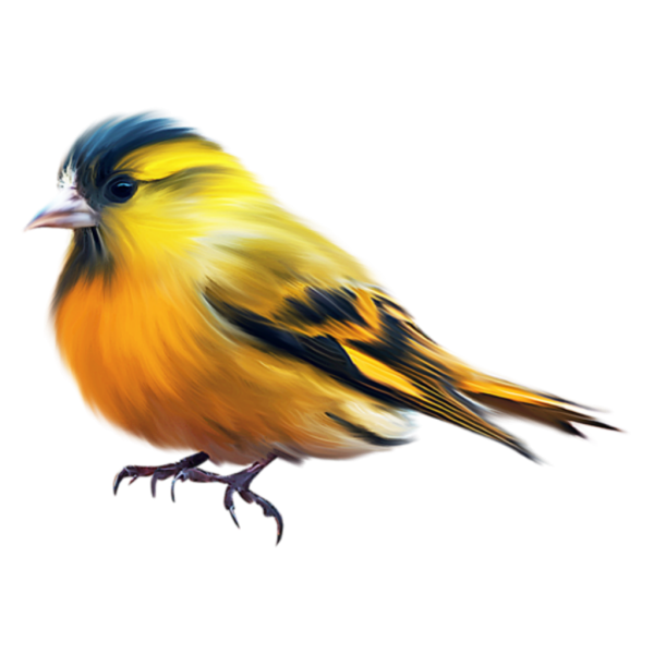 Желтая птичка на прозрачном фоне