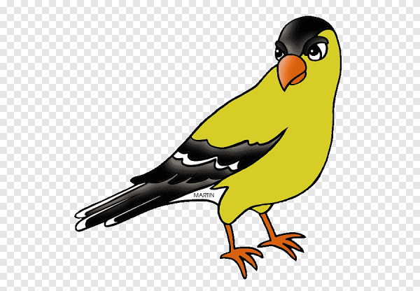 Зеленушка на белом фоне