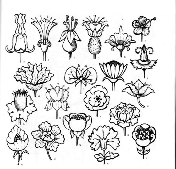 Стилизация цветов