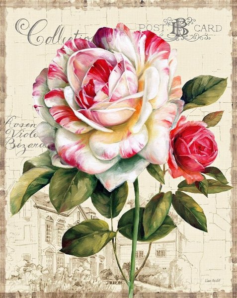 Lisa Audit художник