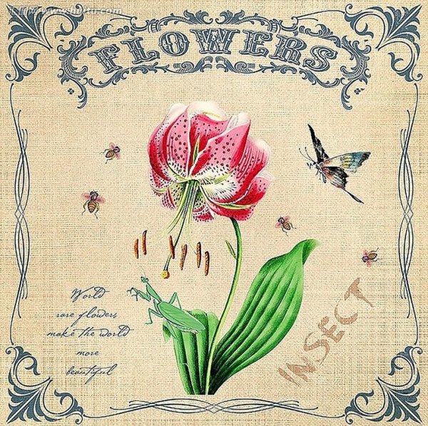 Винтажные принты для декора, декупажа.