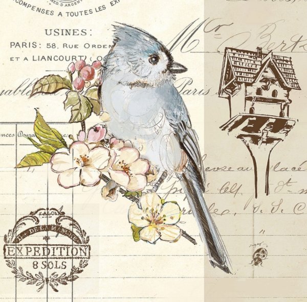 Рисунки птиц в стиле Прованс