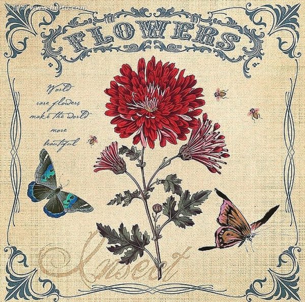 Винтажный рисунок