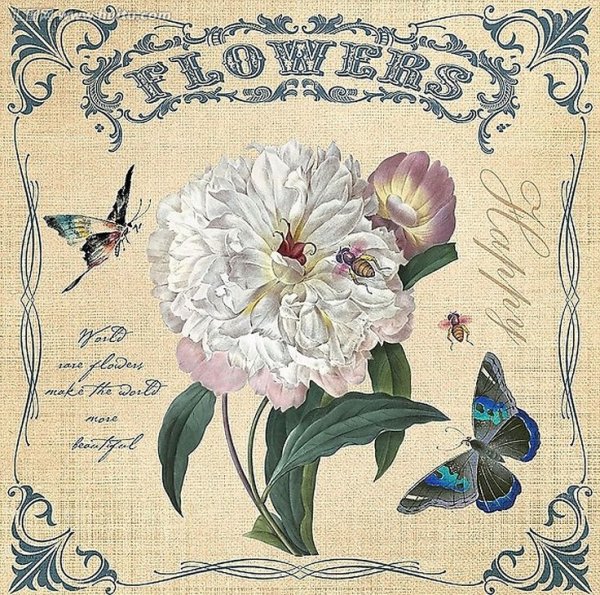 Иллюстрации в винтажном стиле