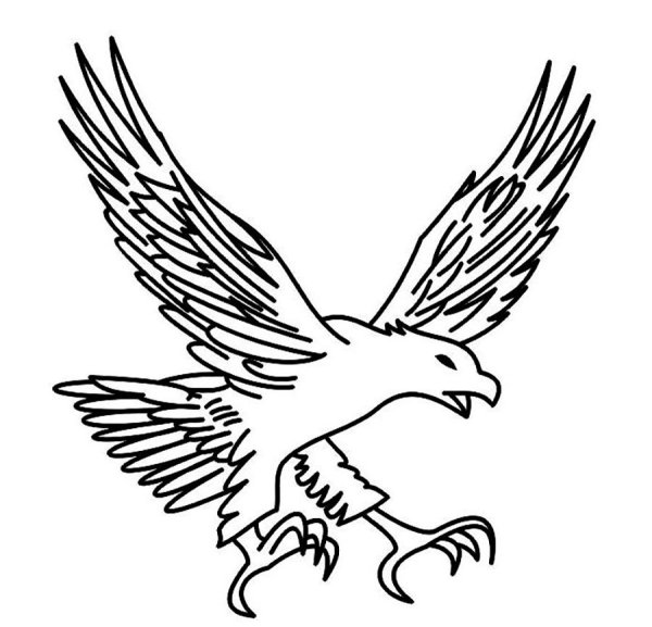 Контурное изображение орла