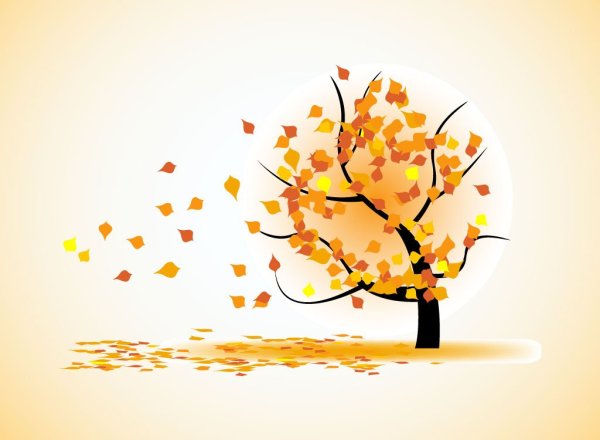 Деревья осенью