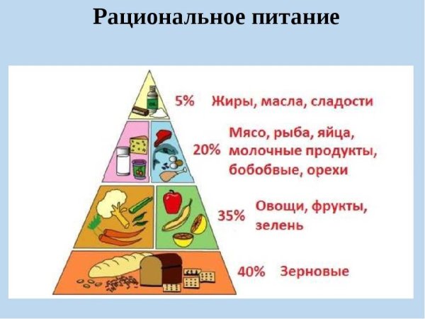 Здоровое рациональное питание
