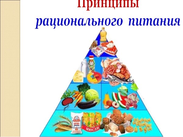 Система рационального питания