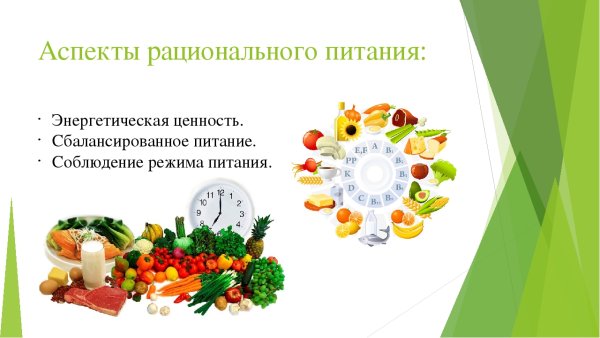 Основные принципы рационального питания схема