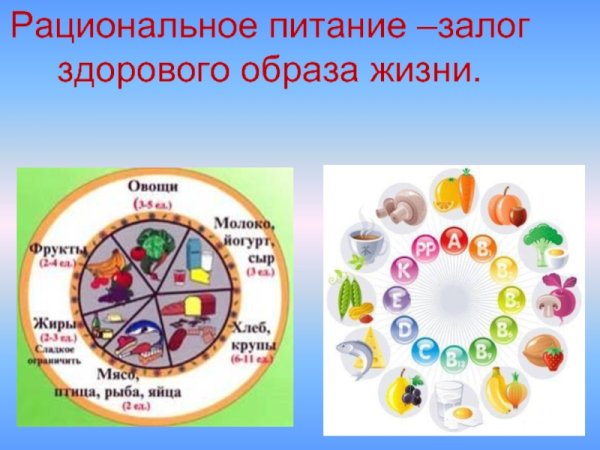 Четыре принципа рационального питания