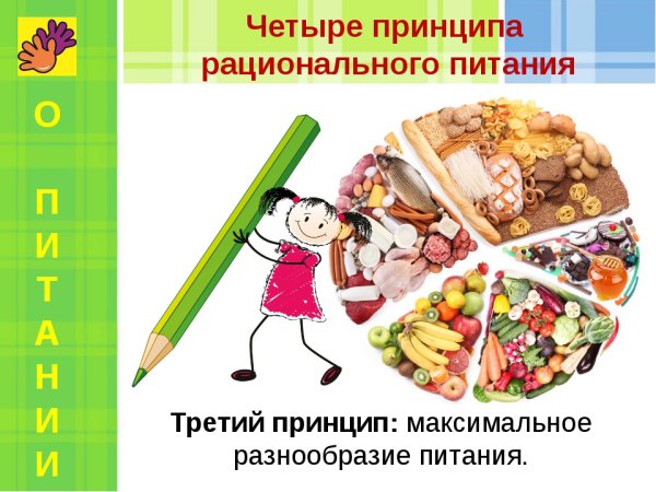 Общее понятие о физиологии питания