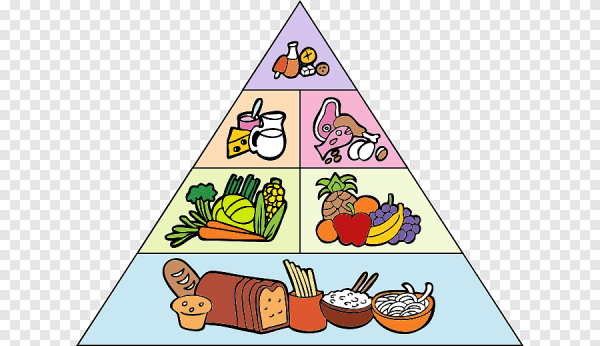 Пирамида питания пищевая пирамида