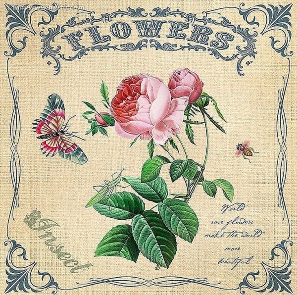 Принты для декупажа