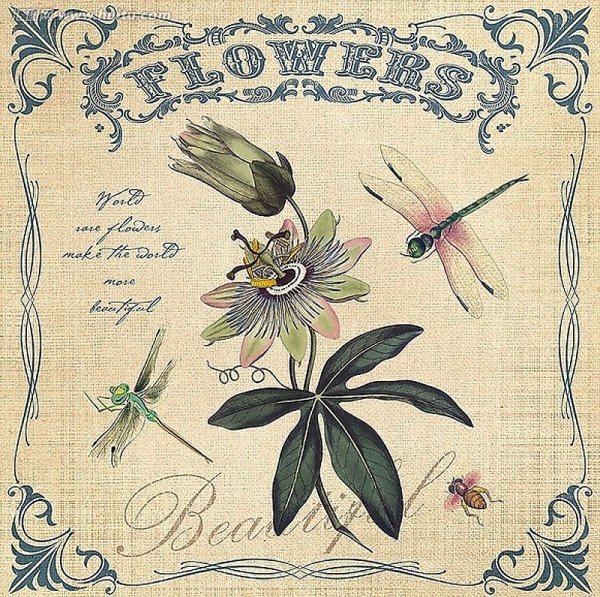 Винтажные открытки с растениями