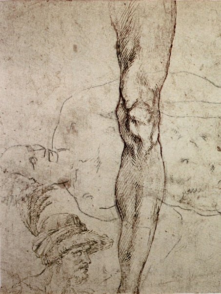 Микеланджело Буонарроти анатомия