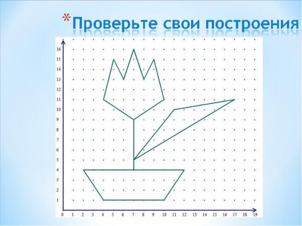 Бабочка в системе координат
