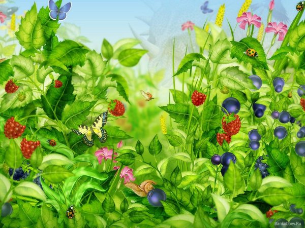 Сказочное лето