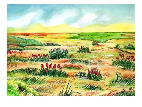 Природные зоны России рисунок