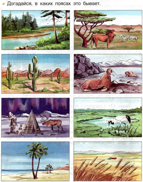 Рисунок на тему природная зона