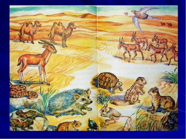 Степь рисунок