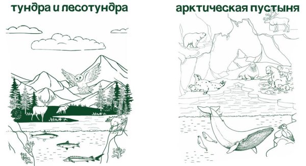 Зарисовку природной зоны.