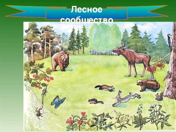 Обитатели степей и пустынь