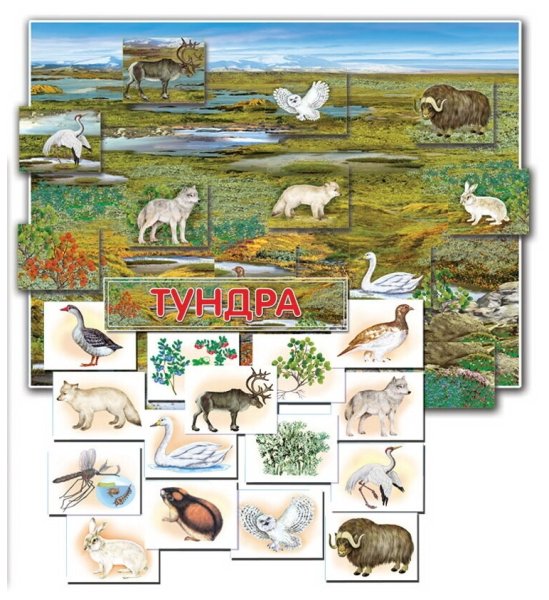 Нарисовать природную зону