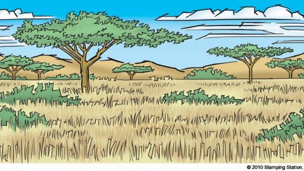 Степь раскраска