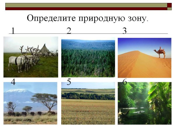 Карта растительности Австралии