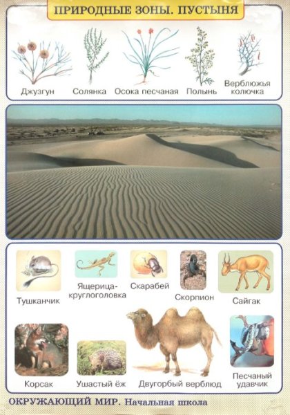Арктика детские рисунки