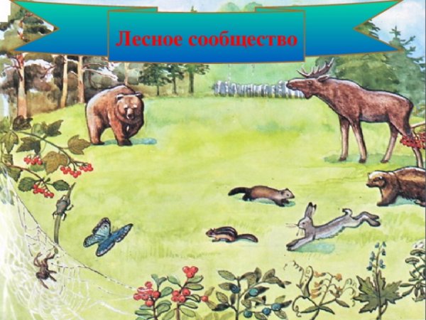 Природа Башкортостана рисунки