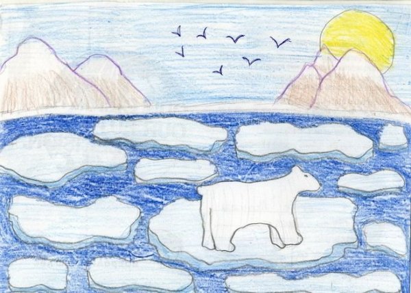 Природные зоны иллюстрации