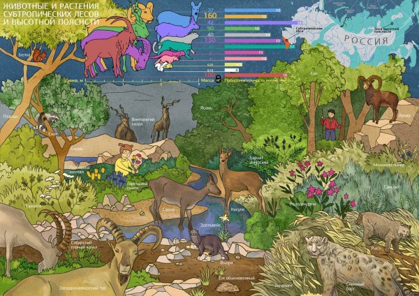 Степь раскраска для детей