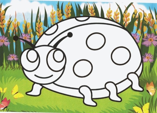 Мухомор раскраска