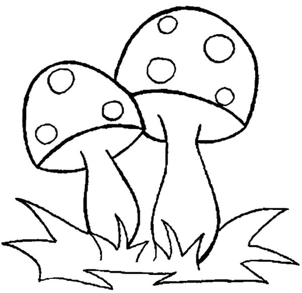 Раскраски для малышей