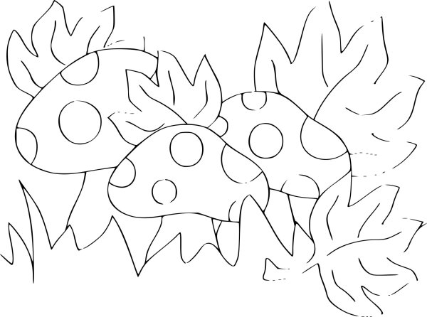 Раскраска морские обитатели