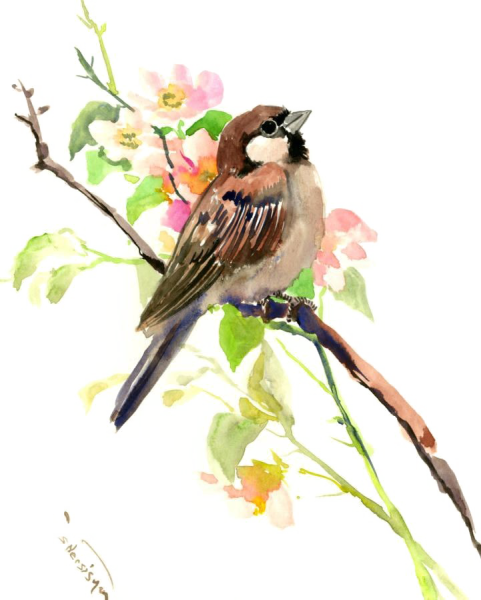 Весенние птицы на прозрачном фоне