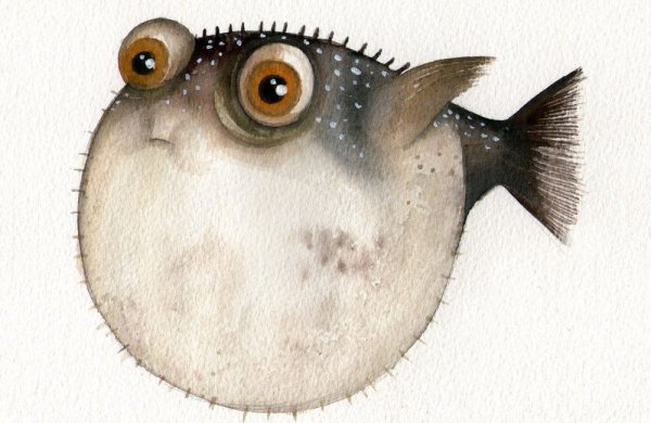 Рыба еж из мультика