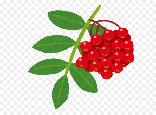 Ягоды рябины для детей