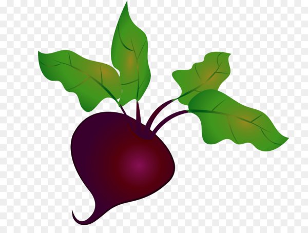 Свекла и морковь в живописи