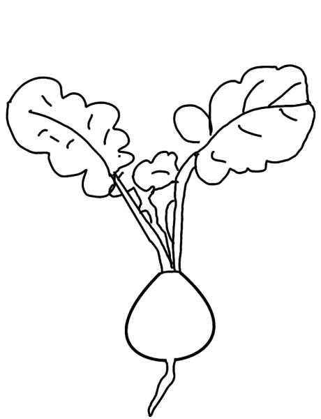 Картинка свекла для детей в детском саду