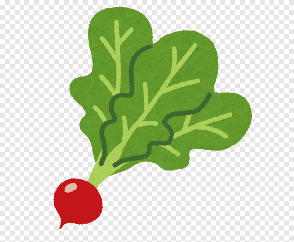 Нарисовать редиску