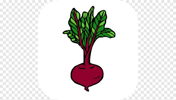 Свекла картинка для детей