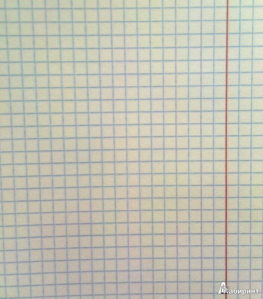 Лист тетради в клетку