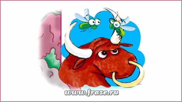 Басня Муха Дмитриев