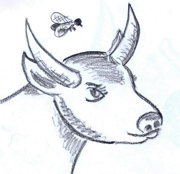 Иван Иванович Дмитриев Муха